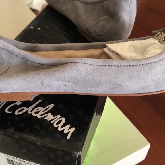 Sam Edelman Felicia Ballet Flat - Picture 4 of 4